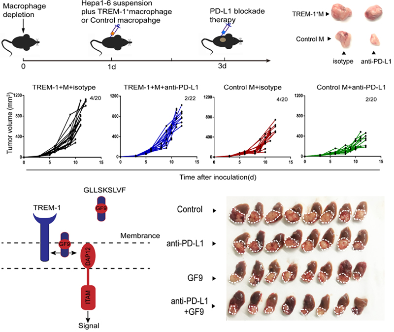1552532911899192.jpg 未标题-2.jpg